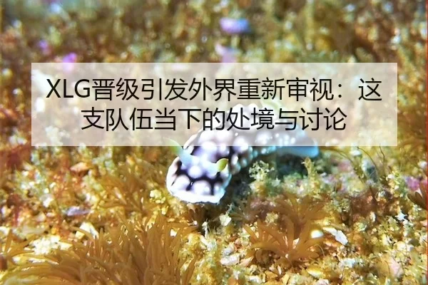 jin-ji-yin-fa-wai-jie-chong-xin-shen-shi-zhe-zhi-dui-wu-dang-xia-de-chu-jing-yu-tao-lun-2-805.jpg